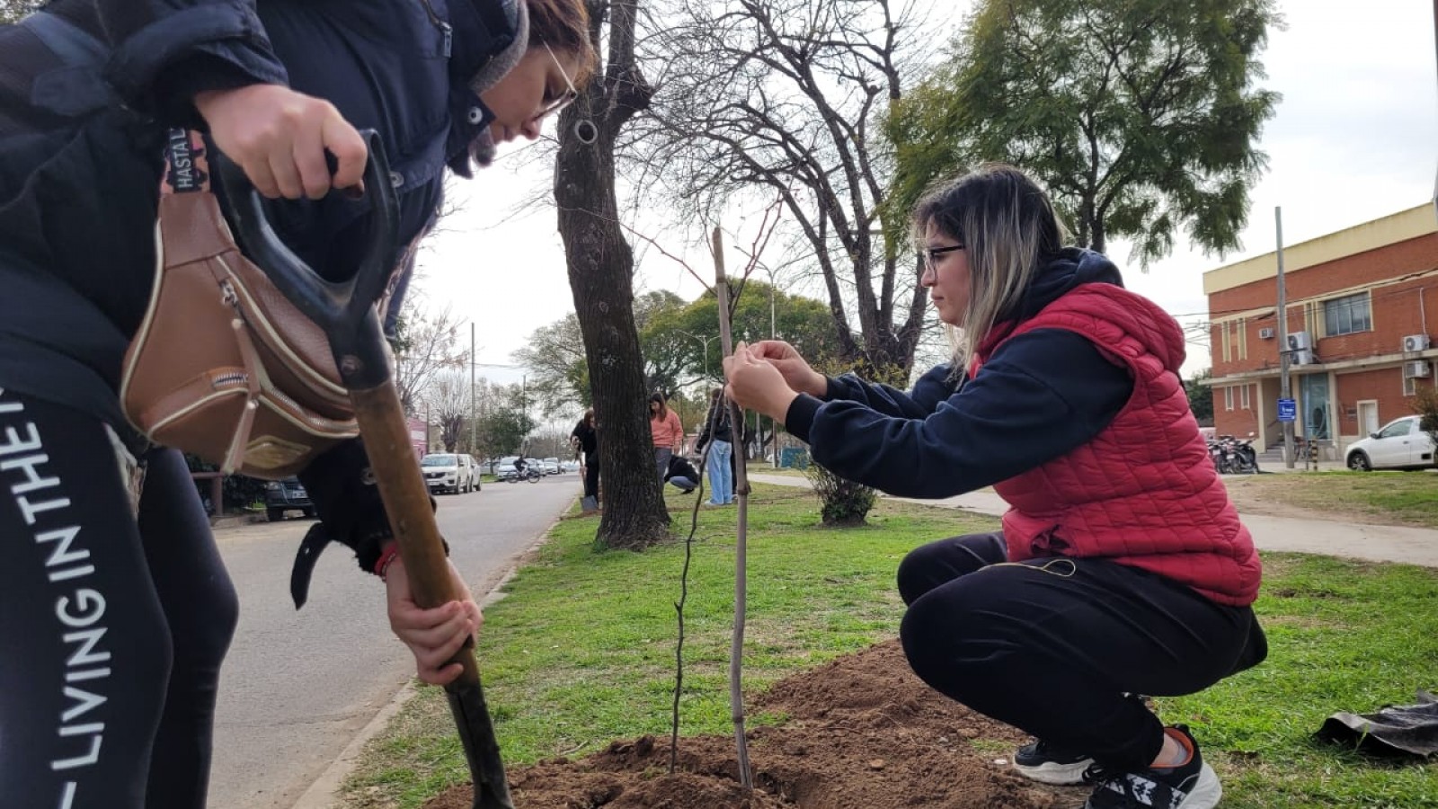 Forestaron espacios públicos de Baradero por el Día del Árbol
